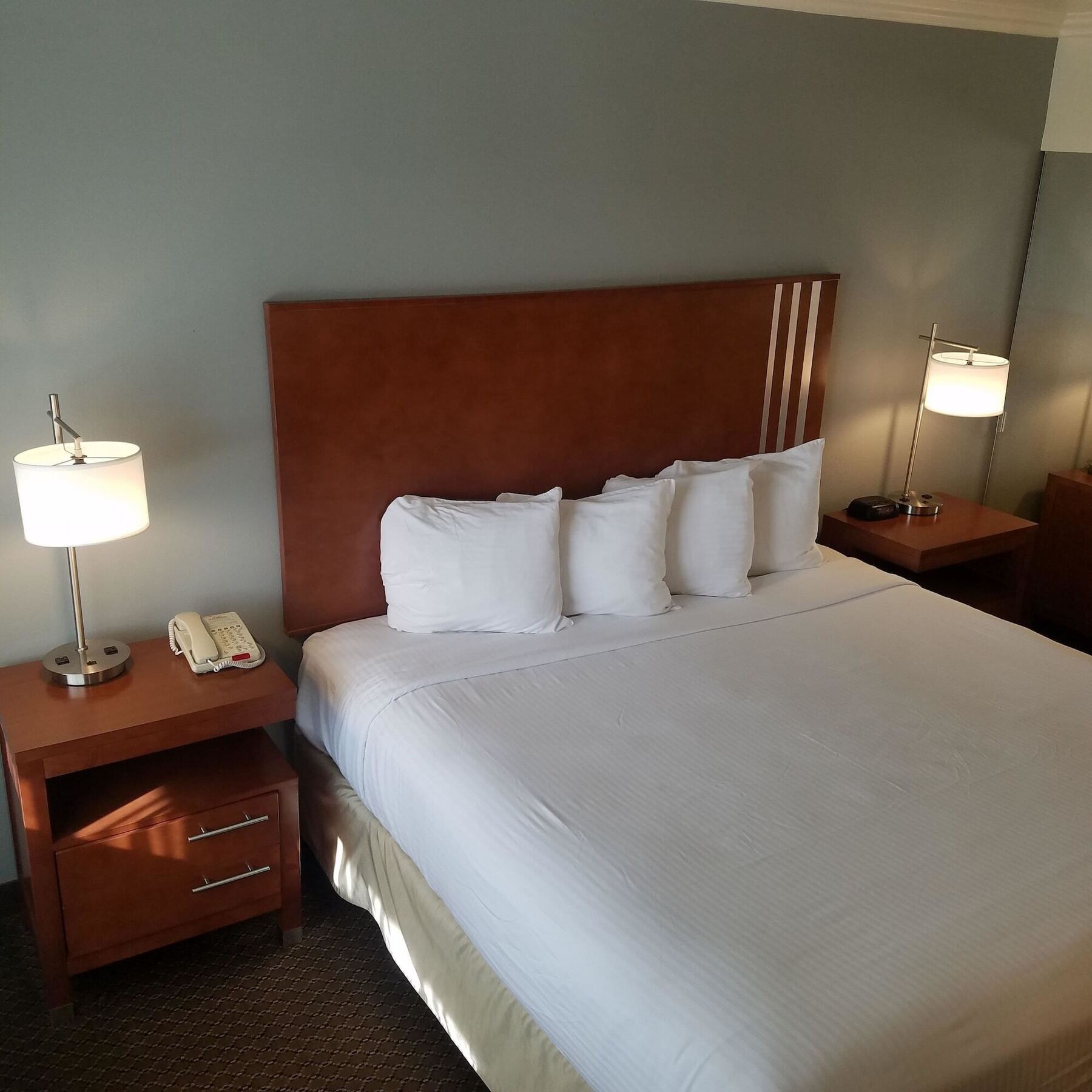 Surestay Hotel By Best Western הוליסטר מראה חיצוני תמונה
