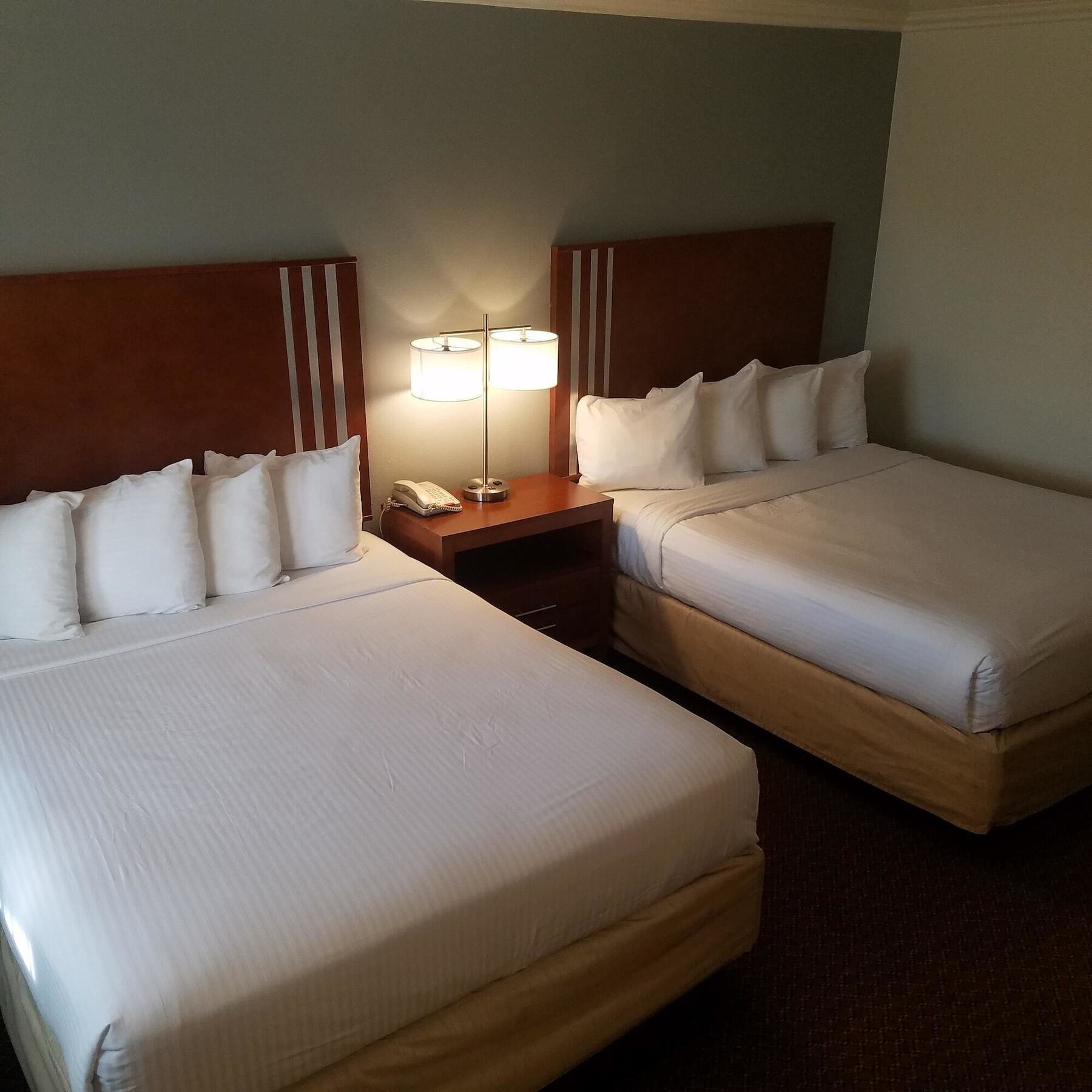 Surestay Hotel By Best Western הוליסטר מראה חיצוני תמונה